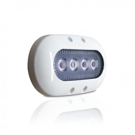 OceanLed Luce subacquea a 4 LED - Completamente stagna