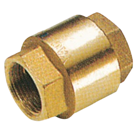 Brass check valve