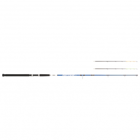 Mitchell Riptide R Dorade 242 rod bolentino 100/300 gr.