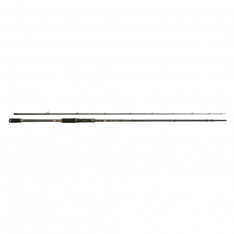 Abu Garcia Mass Beat II 862XH casting rod 50/140 gr.