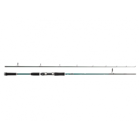 Abu Garcia Beast X 792H Pike canna da spinning 40/80 gr.