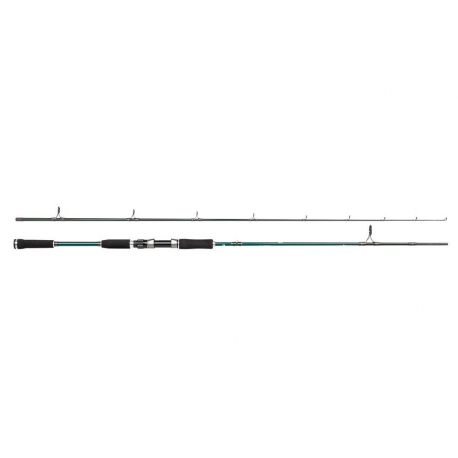 Abu Garcia Beast X 792H Pike spinning rod 40/80 gr.