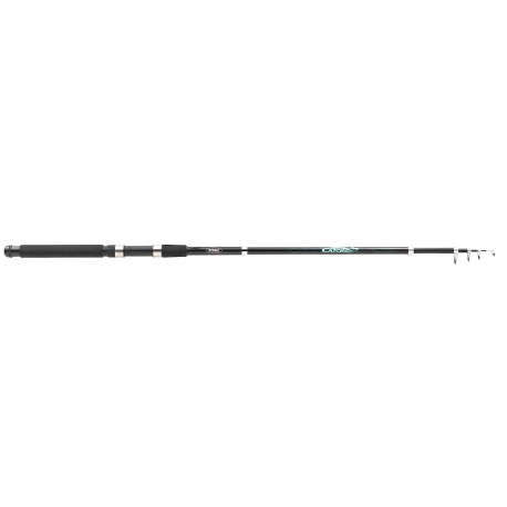Mitchell Catch T-270 spinning rod 15/40 gr.