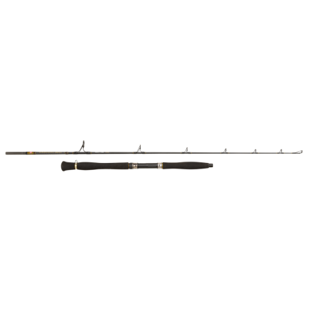 PENN Legion Cat Gold Belly Pump 168XXH spinning rod 200 gr.
