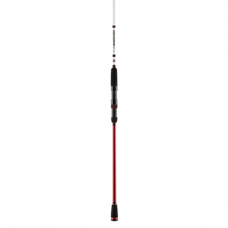 PENN Squadron II Labrax Shore 242MH canna da spinning 20/50 gr.