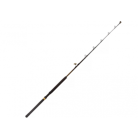 PENN Ally Boat 50/100 LBs canna da Big Game 6' RS