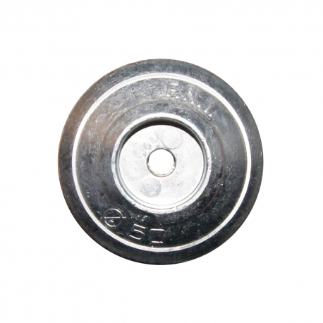 Anode for rudders