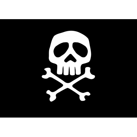 Pirate flag