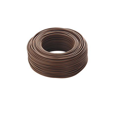 Brown lanyard