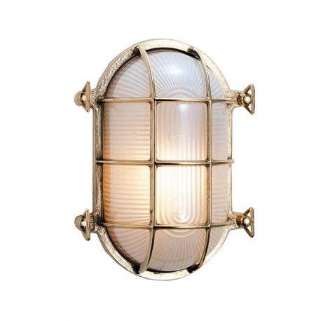 Oval turtle