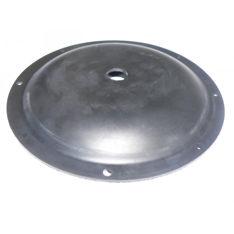 Spare diaphragm for plastimo pumps