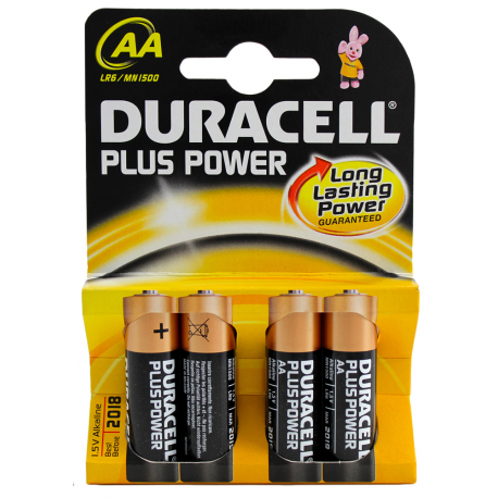Alkaline power plus AA batteries