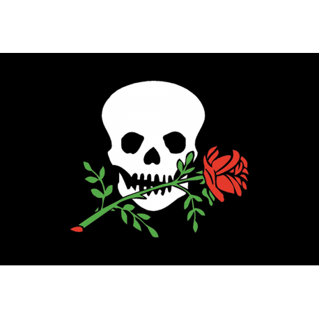 Guest flag on board