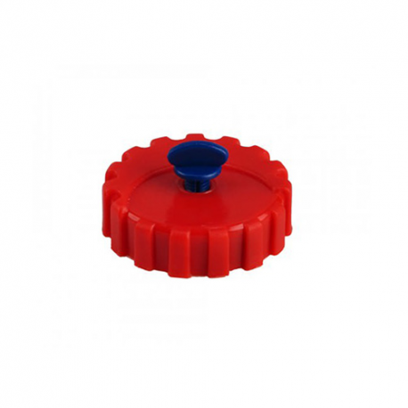 Cap with vent