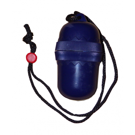 Shoulder strap container