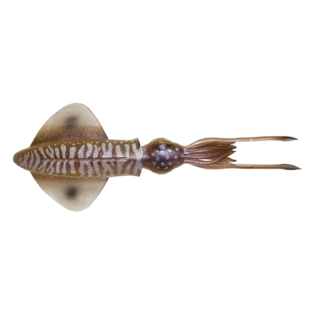 Savage Gear 3D Swim Squid 18 Artificial Squid