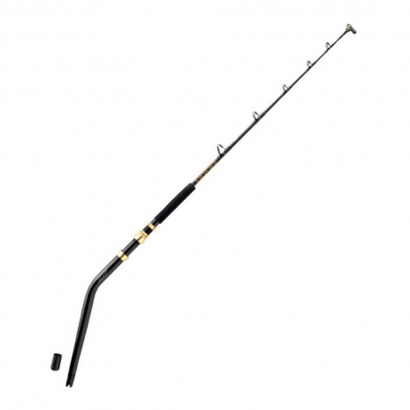 PENN Ally Boat 80/250 LBs canna da Big Game 6' DD