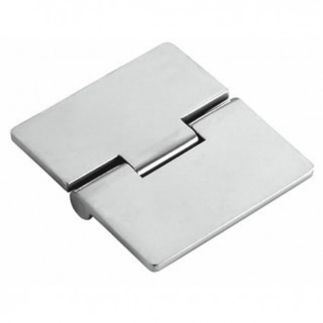Mirror polished stainless steel flush hinge