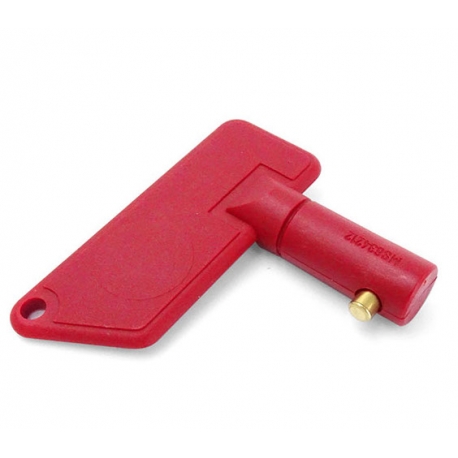 Spare key for battery disconnector