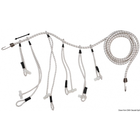 Series of centipedes 4125