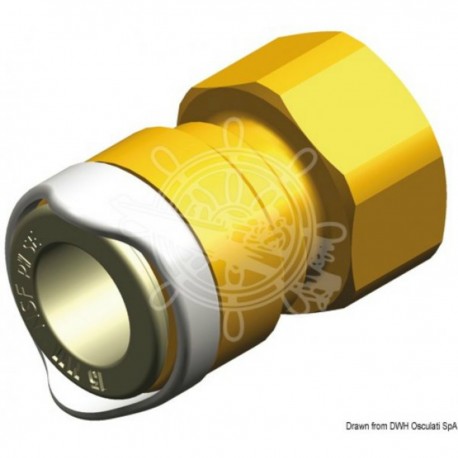 1/2" BSP female brass adapter - Whale