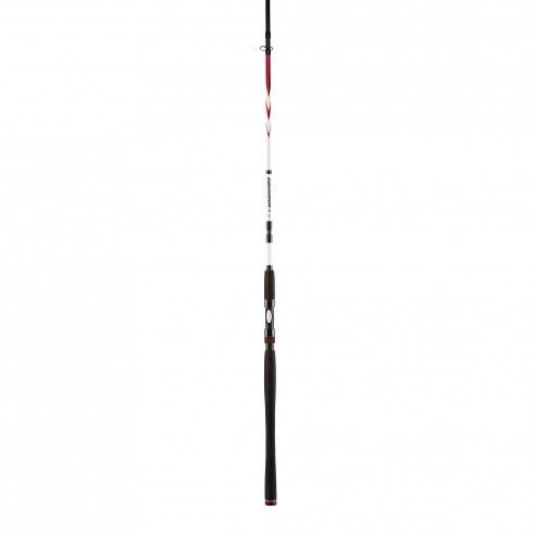 PENN Squadron II Inshore 274 canna da spinning 20/80 gr.