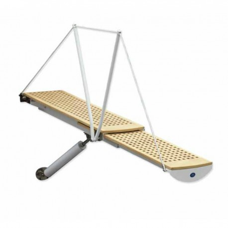 Telescopic electric gangway - Electric Gangways