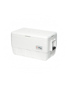 Portable iceboxes